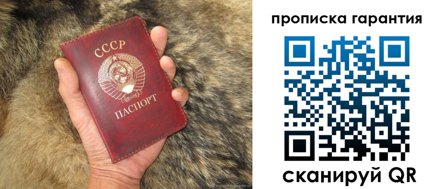 прописка паспорт в Северной Осетии